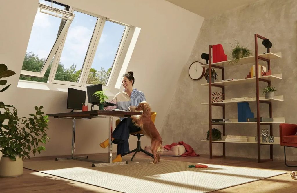 Claraboyas o ventanas tradicionales: ¿Cuál es la Mejor Opción?